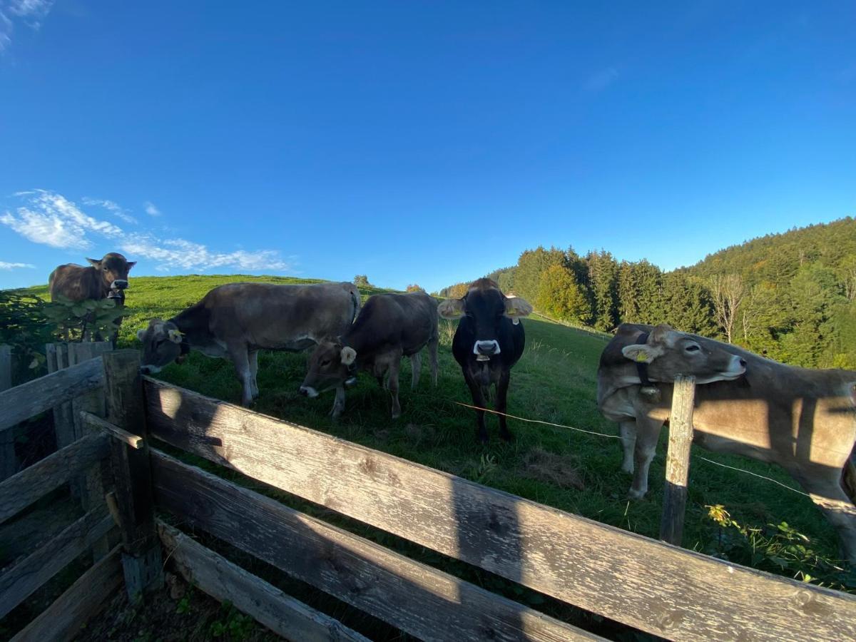 Ferienwohnung Bergblick Wangen Im Allgaeu Mit Garten, 2022 Komplett Renoviert Exteriér fotografie